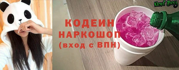 молекула духа Пересвет