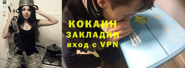 молекула духа Пересвет