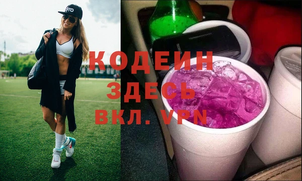 молекула духа Пересвет
