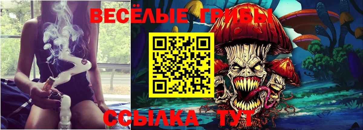Псилоцибиновые грибы ЛСД  цены   Баксан  Вход с VPN 