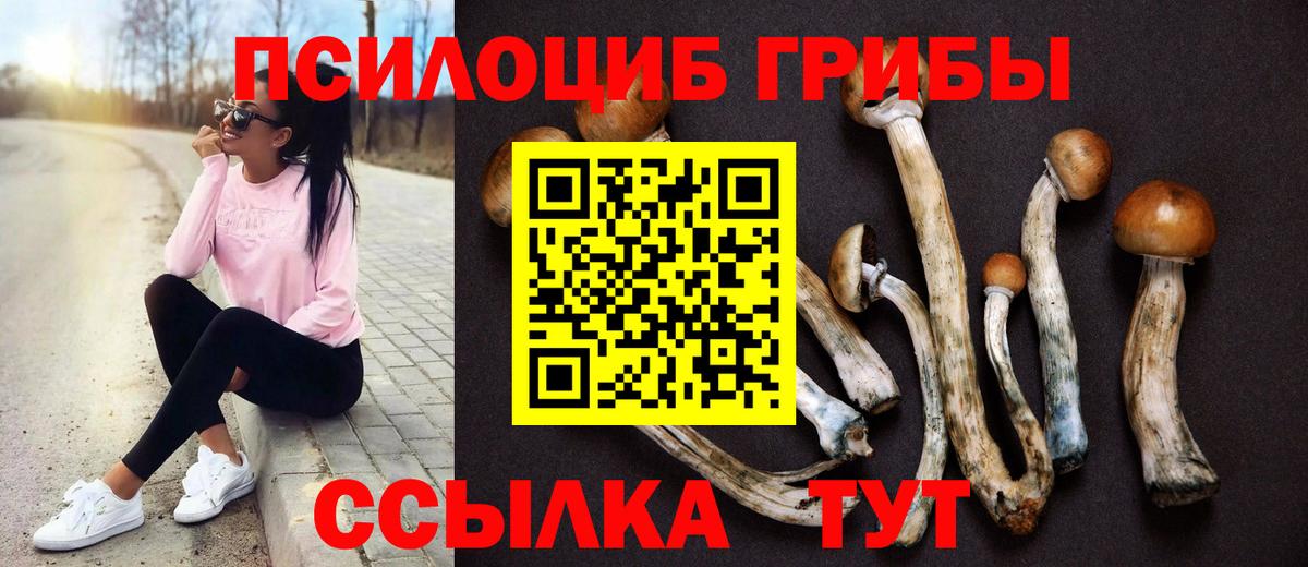 Галлюциногенные грибы прущие грибы  как найти закладки  Баксан 