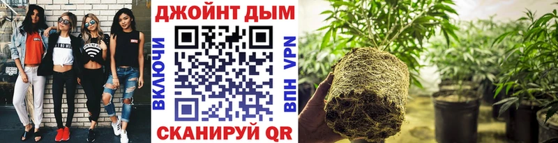 дарнет шоп  Баксан  сайты даркнета как зайти  Канабис семена 